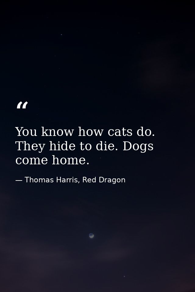You know how cats do. They hide to die. Dogs come home. — Thomas Harris, Red Dragon