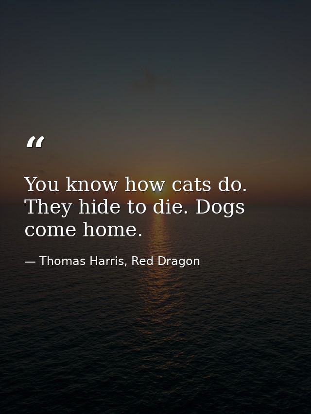 You know how cats do. They hide to die. Dogs come home. — Thomas Harris, Red Dragon