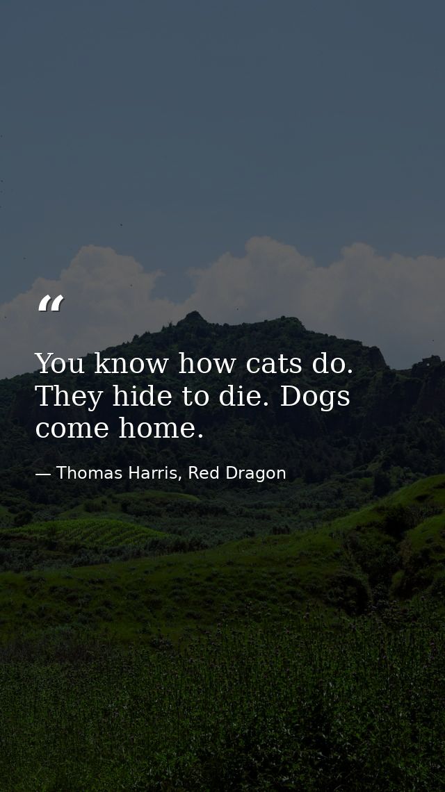 You know how cats do. They hide to die. Dogs come home. — Thomas Harris, Red Dragon