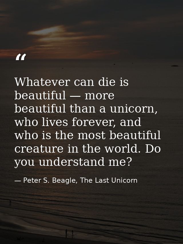 Whatever can die is beautiful — more beautiful than a unicorn, who lives forever, and who is the most beautiful creature — Peter S. Beagle, The Last Unicorn