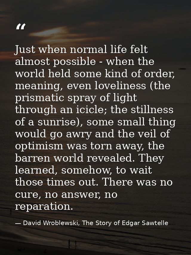 Just when normal life felt almost possible - when the world held some kind of order, meaning, even loveliness (the prism — David Wroblewski, The Story of Edgar Sawtelle