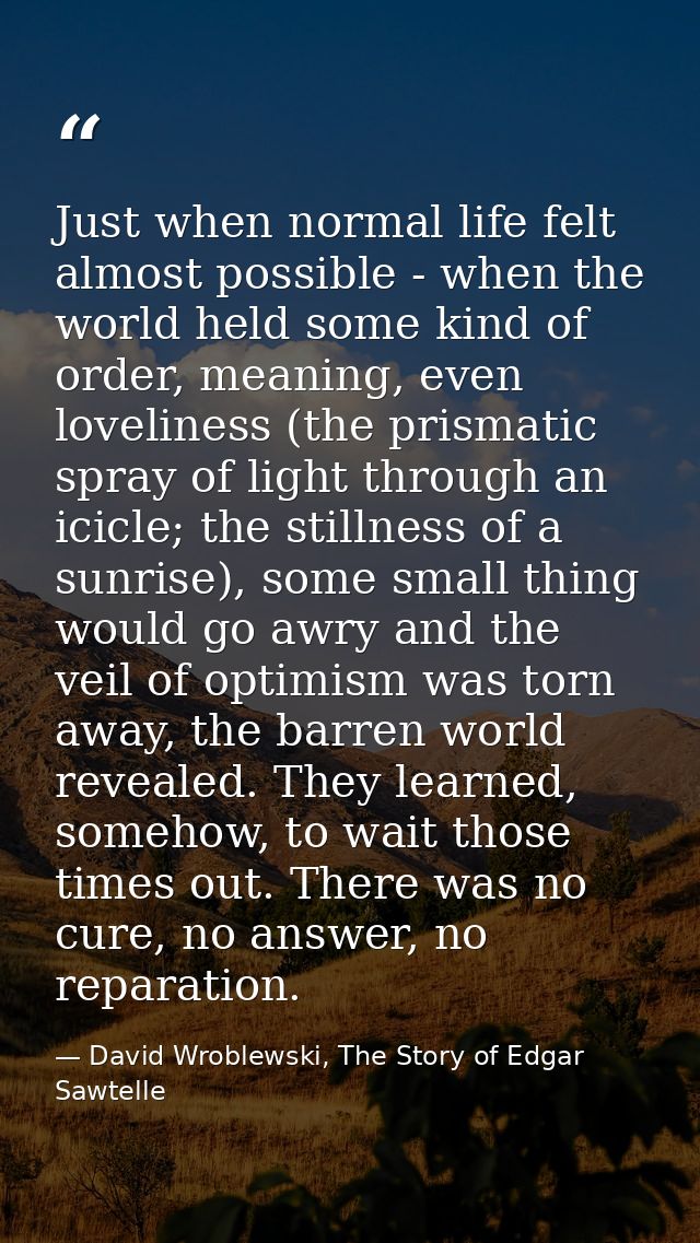 Just when normal life felt almost possible - when the world held some kind of order, meaning, even loveliness (the prism — David Wroblewski, The Story of Edgar Sawtelle