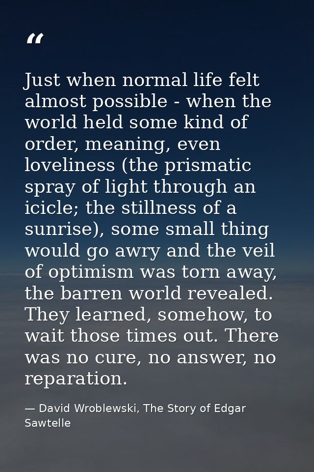 Just when normal life felt almost possible - when the world held some kind of order, meaning, even loveliness (the prism — David Wroblewski, The Story of Edgar Sawtelle