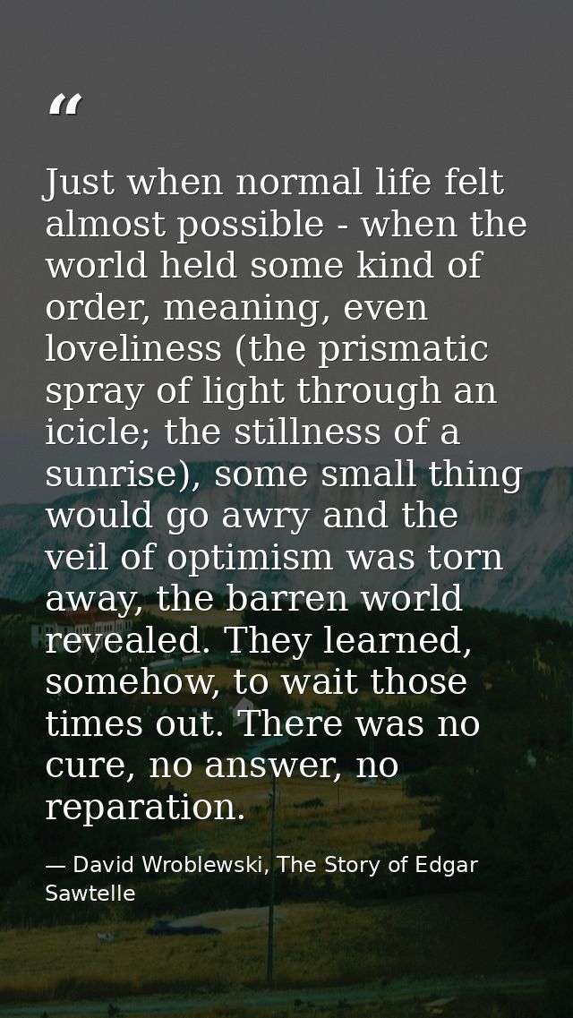 Just when normal life felt almost possible - when the world held some kind of order, meaning, even loveliness (the prism — David Wroblewski, The Story of Edgar Sawtelle