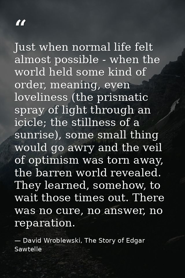 Just when normal life felt almost possible - when the world held some kind of order, meaning, even loveliness (the prism — David Wroblewski, The Story of Edgar Sawtelle