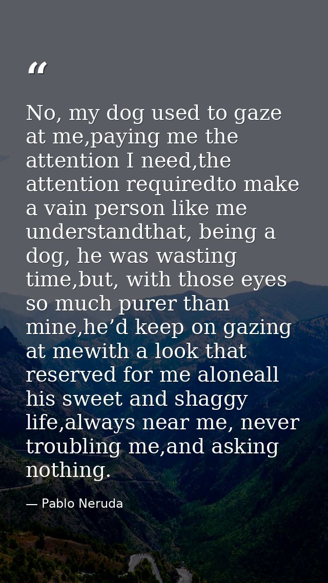 No, my dog used to gaze at me,paying me the attention I need,the attention requiredto make a vain person like me underst — Pablo Neruda