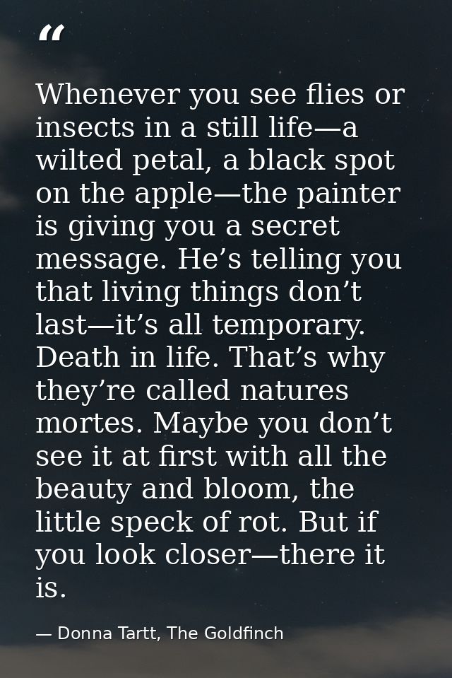 Whenever you see flies or insects in a still life—a wilted petal, a black spot on the apple—the painter is giving you a  — Donna Tartt, The Goldfinch