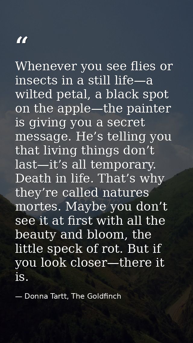 Whenever you see flies or insects in a still life—a wilted petal, a black spot on the apple—the painter is giving you a  — Donna Tartt, The Goldfinch