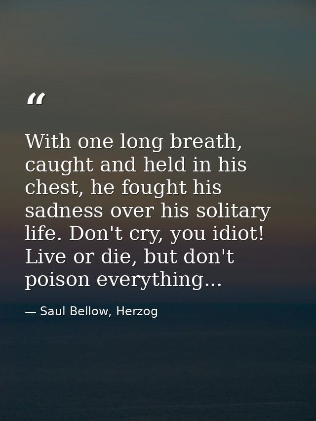 With one long breath, caught and held in his chest, he fought his sadness over his solitary life. Don't cry, you idiot!  — Saul Bellow, Herzog