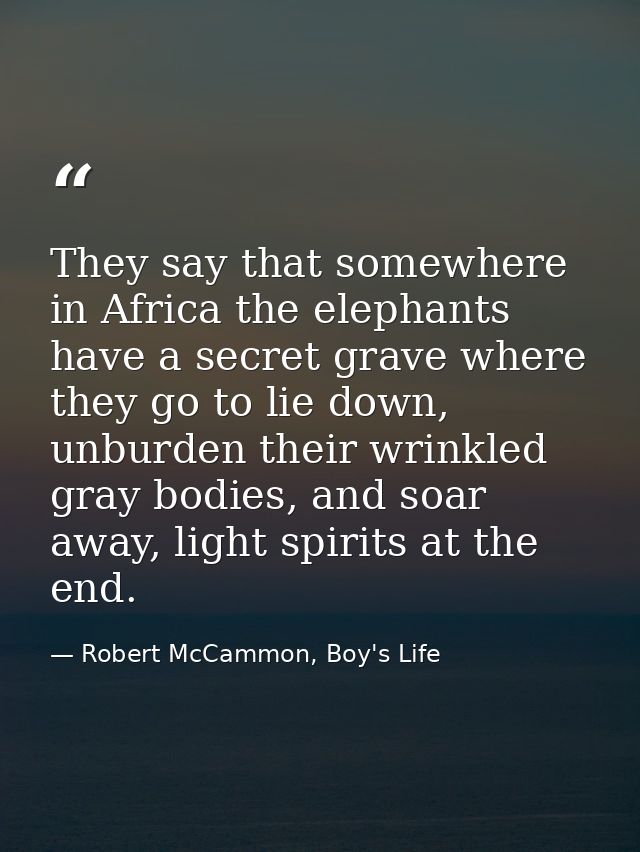 They say that somewhere in Africa the elephants have a secret grave where they go to lie down, unburden their wrinkled g — Robert McCammon, Boy's Life