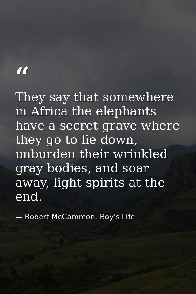 They say that somewhere in Africa the elephants have a secret grave where they go to lie down, unburden their wrinkled g — Robert McCammon, Boy's Life