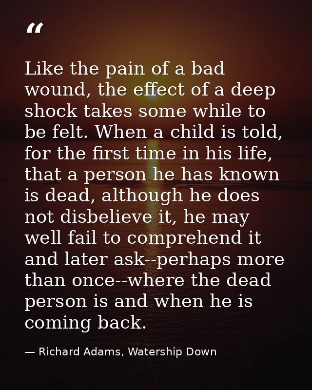 Like the pain of a bad wound, the effect of a deep shock takes some while to be felt. When a child is told, for the firs — Richard Adams, Watership Down