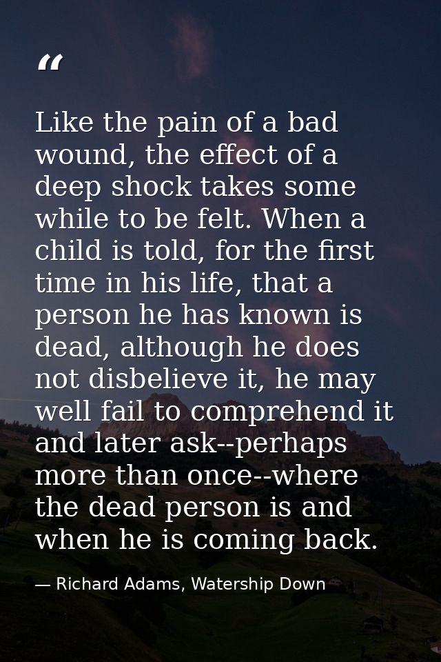 Like the pain of a bad wound, the effect of a deep shock takes some while to be felt. When a child is told, for the firs — Richard Adams, Watership Down