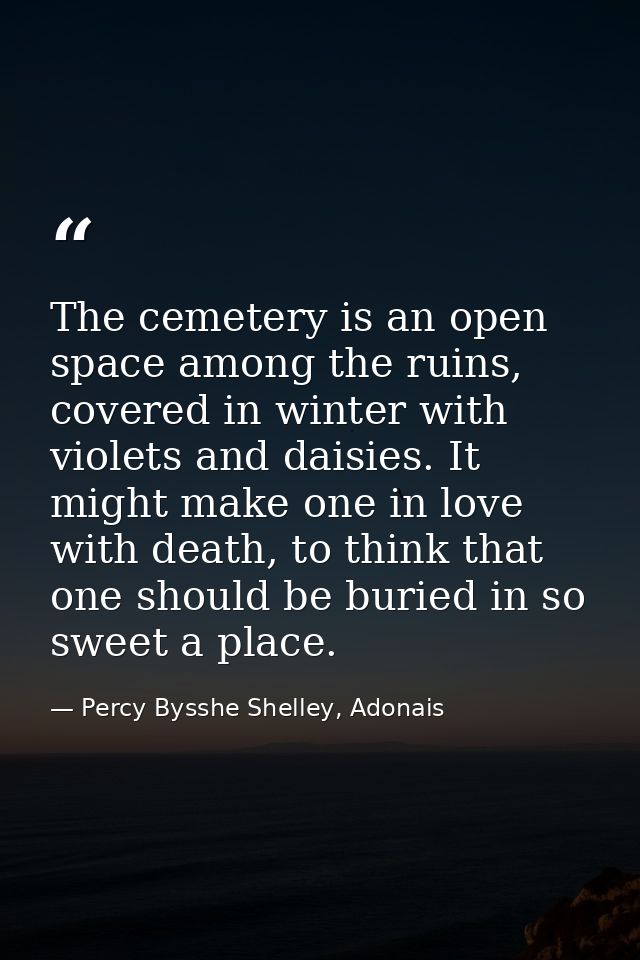 The cemetery is an open space among the ruins, covered in winter with violets and daisies. It might make one in love wit — Percy Bysshe Shelley, Adonais