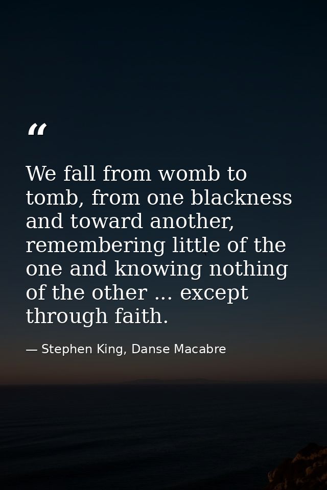 We fall from womb to tomb, from one blackness and toward another, remembering little of the one and knowing nothing of t — Stephen King, Danse Macabre