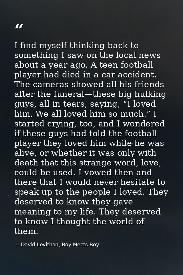 I find myself thinking back to something I saw on the local news about a year ago. A teen football player had died in a  — David Levithan, Boy Meets Boy