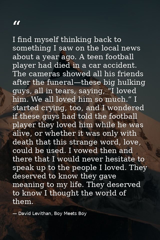 I find myself thinking back to something I saw on the local news about a year ago. A teen football player had died in a  — David Levithan, Boy Meets Boy