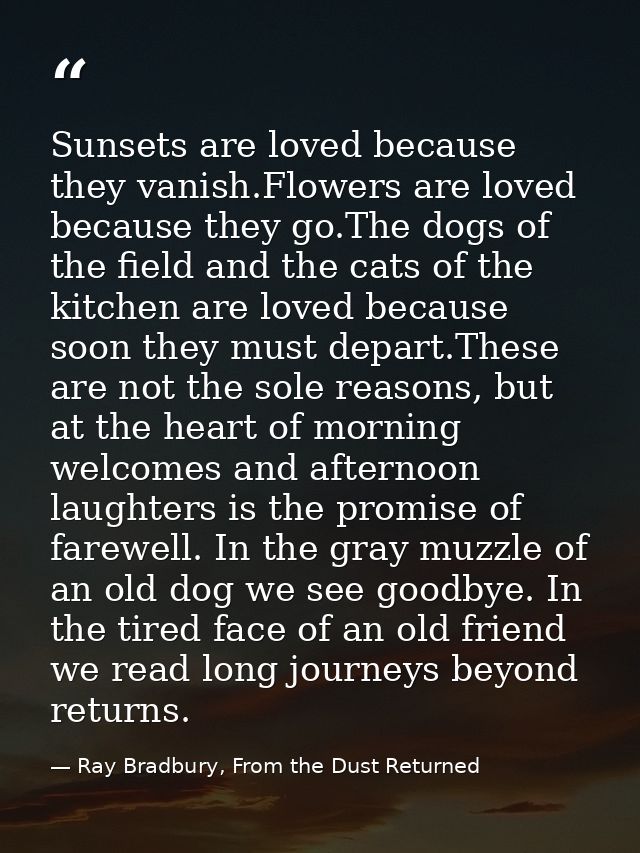 Sunsets are loved because they vanish.Flowers are loved because they go.The dogs of the field and the cats of the kitche — Ray Bradbury, From the Dust Returned