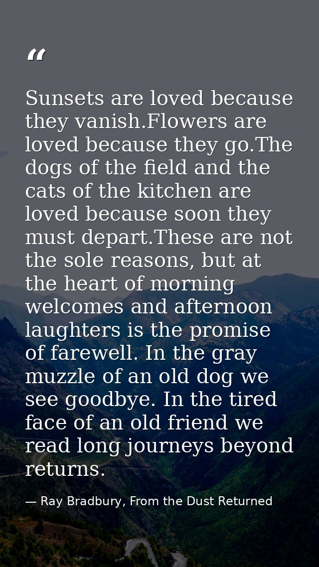 Sunsets are loved because they vanish.Flowers are loved because they go.The dogs of the field and the cats of the kitche — Ray Bradbury, From the Dust Returned