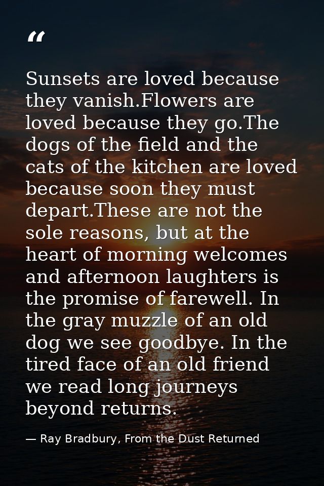 Sunsets are loved because they vanish.Flowers are loved because they go.The dogs of the field and the cats of the kitche — Ray Bradbury, From the Dust Returned