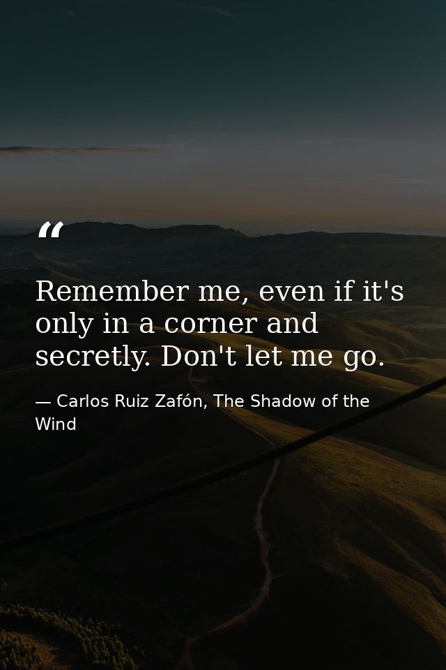 Remember me, even if it's only in a corner and secretly. Don't let me go. — Carlos Ruiz Zafón, The Shadow of the Wind