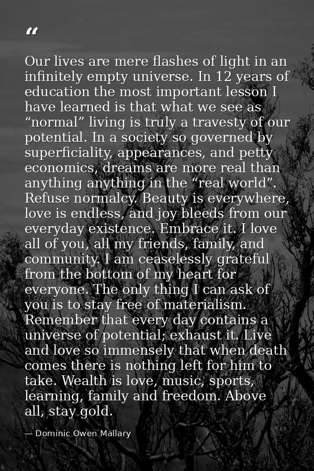 Our lives are mere flashes of light in an infinitely empty universe. In 12 years of education the most important lesson  — Dominic Owen Mallary