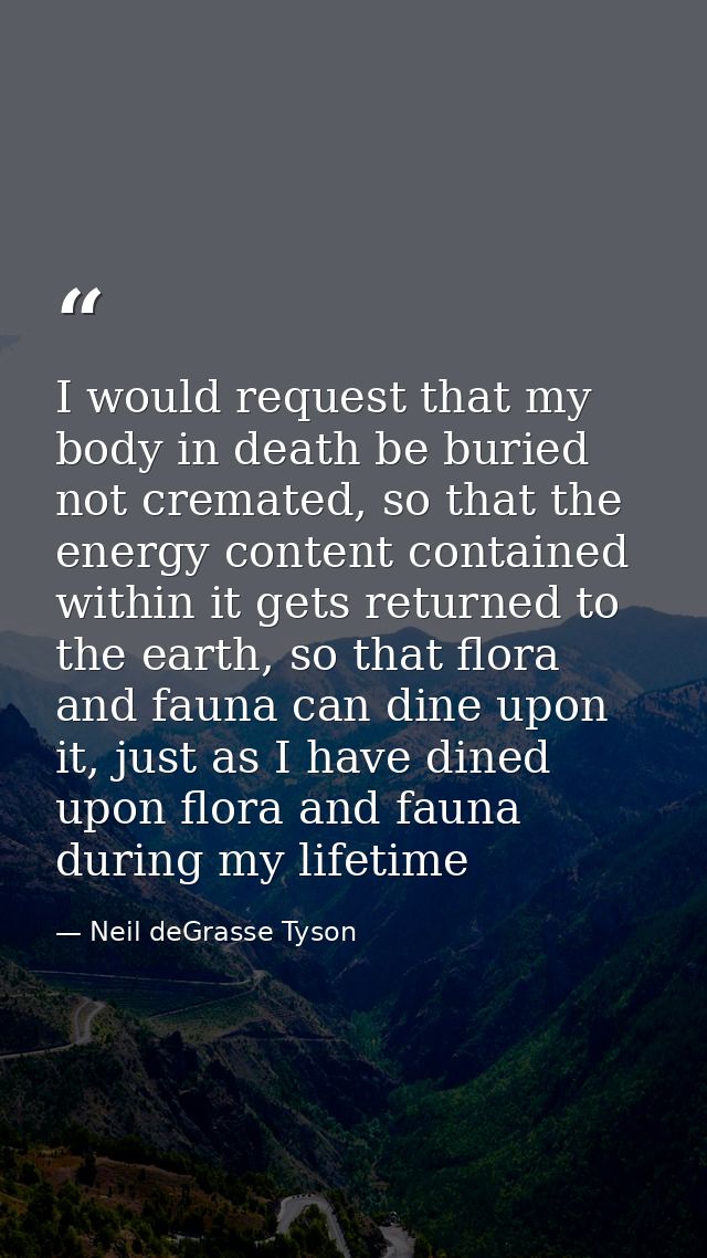I would request that my body in death be buried not cremated, so that the energy content contained within it gets return — Neil deGrasse Tyson