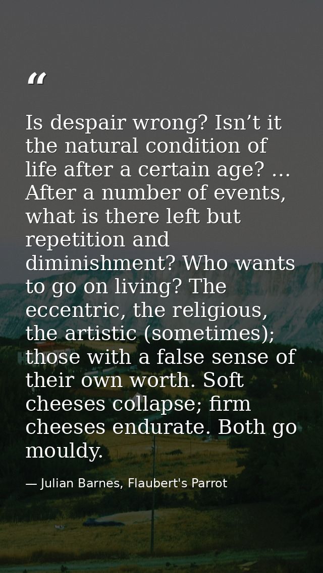Is despair wrong? Isn’t it the natural condition of life after a certain age? … After a number of events, what is there  — Julian Barnes, Flaubert's Parrot