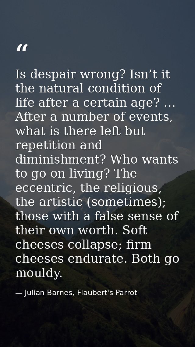 Is despair wrong? Isn’t it the natural condition of life after a certain age? … After a number of events, what is there  — Julian Barnes, Flaubert's Parrot