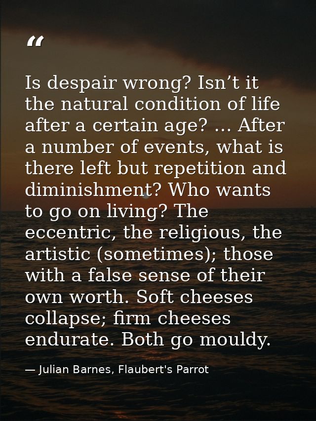 Is despair wrong? Isn’t it the natural condition of life after a certain age? … After a number of events, what is there  — Julian Barnes, Flaubert's Parrot