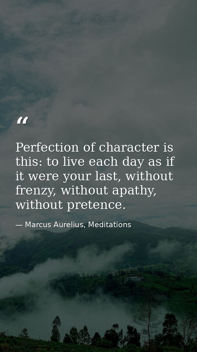 Perfection of character is this: to live each day as if it were your last, without frenzy, without apathy, without prete — Marcus Aurelius, Meditations