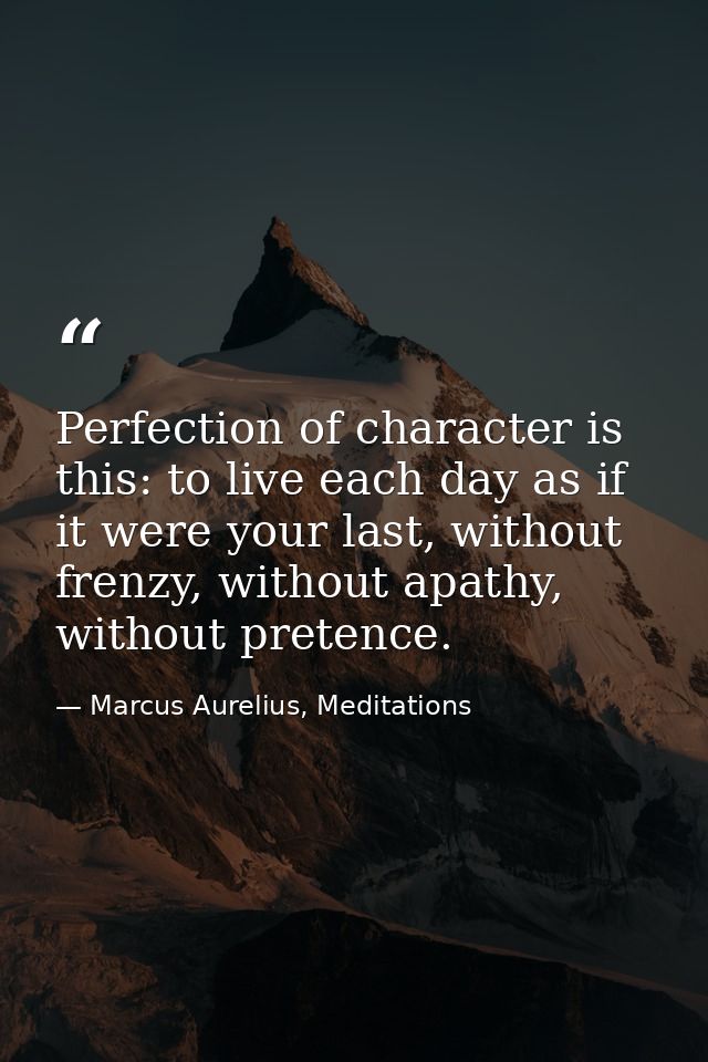 Perfection of character is this: to live each day as if it were your last, without frenzy, without apathy, without prete — Marcus Aurelius, Meditations