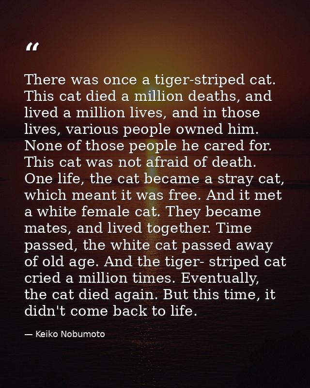 There was once a tiger-striped cat. This cat died a million deaths, and lived a million lives, and in those lives, vario — Keiko Nobumoto