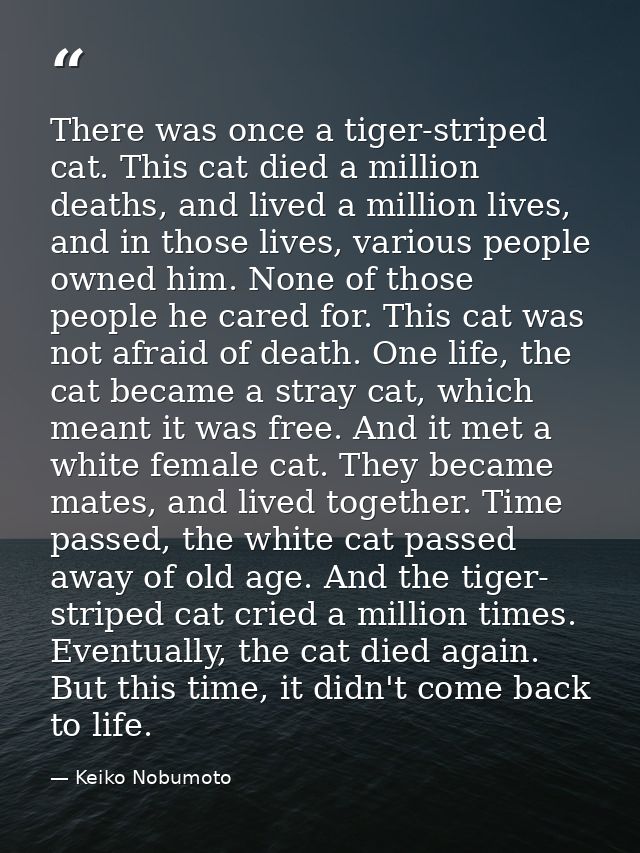 There was once a tiger-striped cat. This cat died a million deaths, and lived a million lives, and in those lives, vario — Keiko Nobumoto