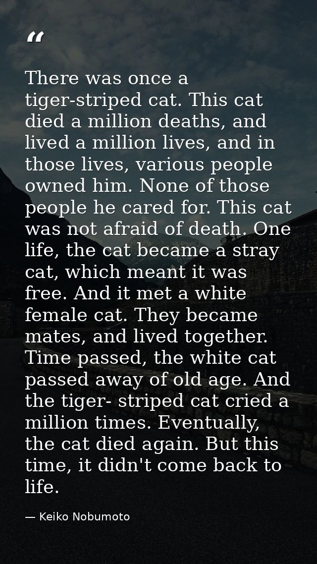 There was once a tiger-striped cat. This cat died a million deaths, and lived a million lives, and in those lives, vario — Keiko Nobumoto