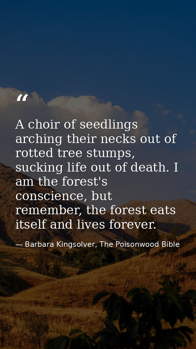 A choir of seedlings arching their necks out of rotted tree stumps, sucking life out of death. I am the forest's conscie — Barbara Kingsolver, The Poisonwood Bible