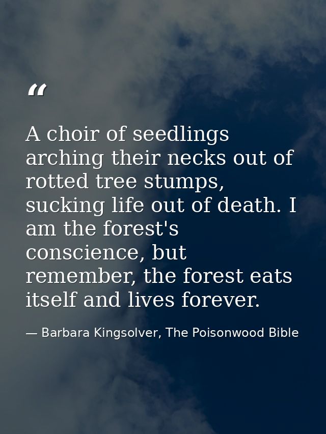 A choir of seedlings arching their necks out of rotted tree stumps, sucking life out of death. I am the forest's conscie — Barbara Kingsolver, The Poisonwood Bible