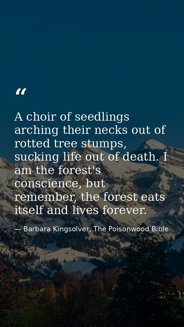 A choir of seedlings arching their necks out of rotted tree stumps, sucking life out of death. I am the forest's conscie — Barbara Kingsolver, The Poisonwood Bible