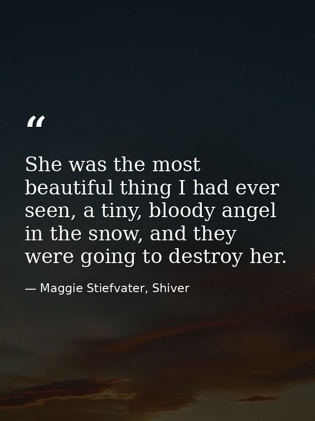 She was the most beautiful thing I had ever seen, a tiny, bloody angel in the snow, and they were going to destroy her. — Maggie Stiefvater, Shiver
