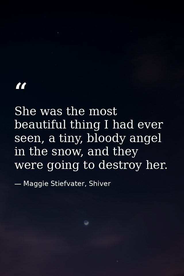 She was the most beautiful thing I had ever seen, a tiny, bloody angel in the snow, and they were going to destroy her. — Maggie Stiefvater, Shiver