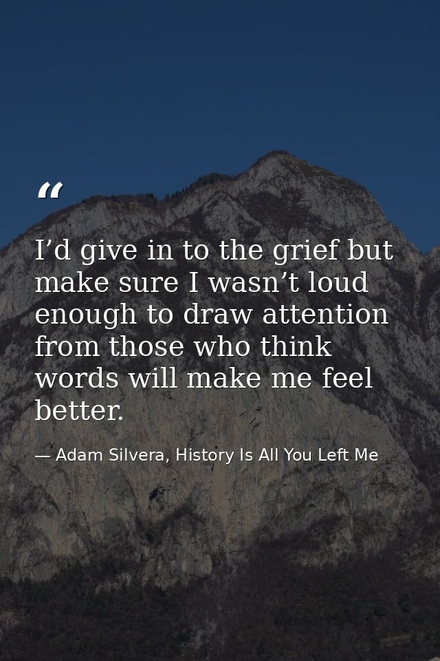 I’d give in to the grief but make sure I wasn’t loud enough to draw attention from those who think words will make me fe — Adam Silvera, History Is All You Left Me