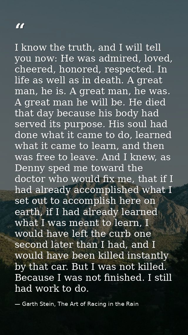 I know the truth, and I will tell you now: He was admired, loved, cheered, honored, respected. In life as well as in dea — Garth Stein, The Art of Racing in the Rain