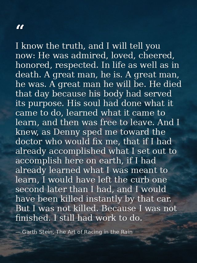 I know the truth, and I will tell you now: He was admired, loved, cheered, honored, respected. In life as well as in dea — Garth Stein, The Art of Racing in the Rain