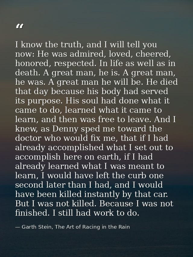 I know the truth, and I will tell you now: He was admired, loved, cheered, honored, respected. In life as well as in dea — Garth Stein, The Art of Racing in the Rain