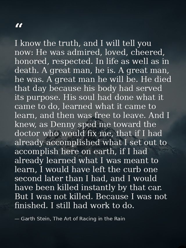I know the truth, and I will tell you now: He was admired, loved, cheered, honored, respected. In life as well as in dea — Garth Stein, The Art of Racing in the Rain