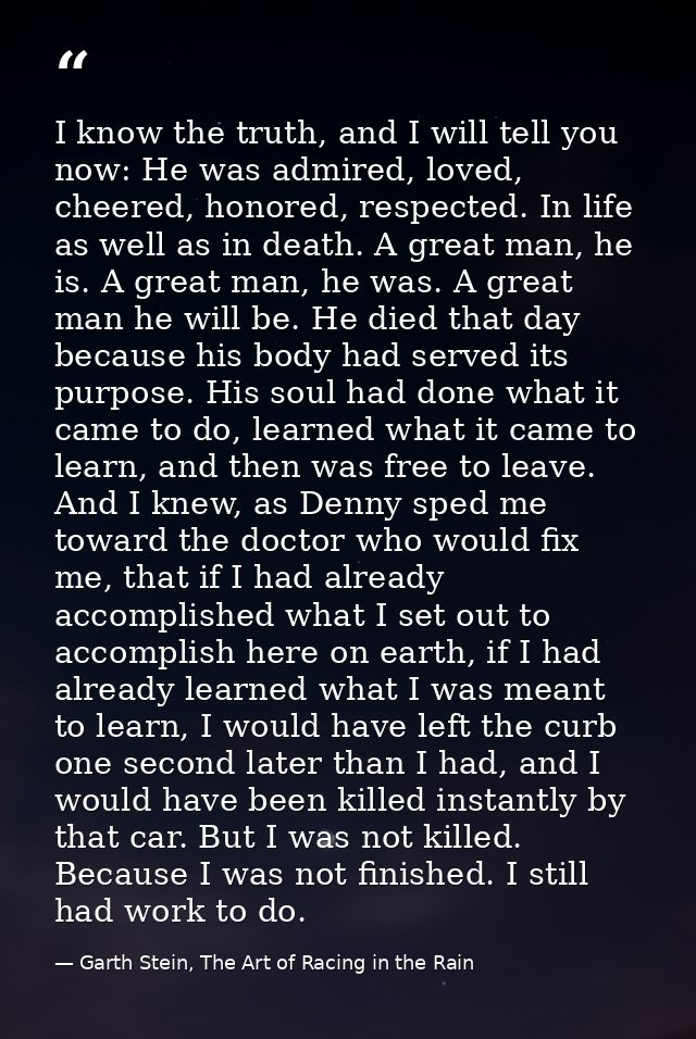 I know the truth, and I will tell you now: He was admired, loved, cheered, honored, respected. In life as well as in dea — Garth Stein, The Art of Racing in the Rain