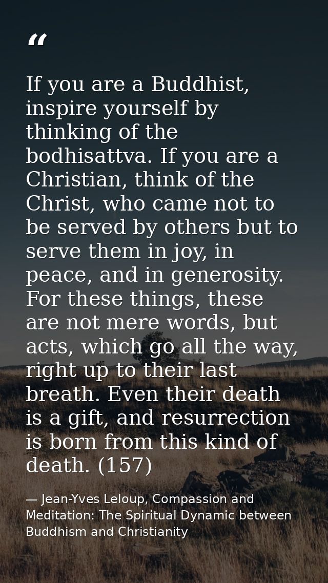 If you are a Buddhist, inspire yourself by thinking of the bodhisattva. If you are a Christian, think of the Christ, who — Jean-Yves Leloup, Compassion and Meditation: The Spiritual Dynamic between Buddhism and Christianity