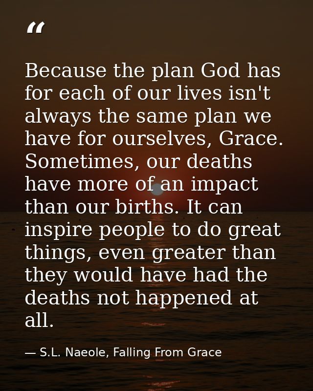 Because the plan God has for each of our lives isn't always the same plan we have for ourselves, Grace. Sometimes, our d — S.L. Naeole, Falling From Grace