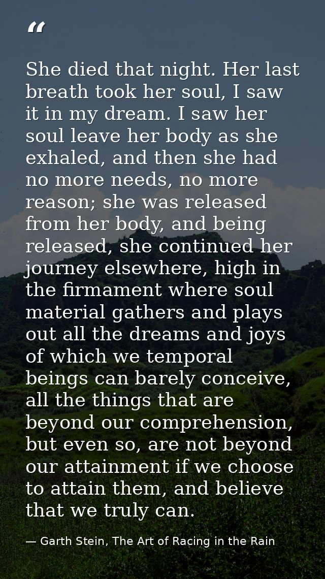 She died that night. Her last breath took her soul, I saw it in my dream. I saw her soul leave her body as she exhaled,  — Garth Stein, The Art of Racing in the Rain