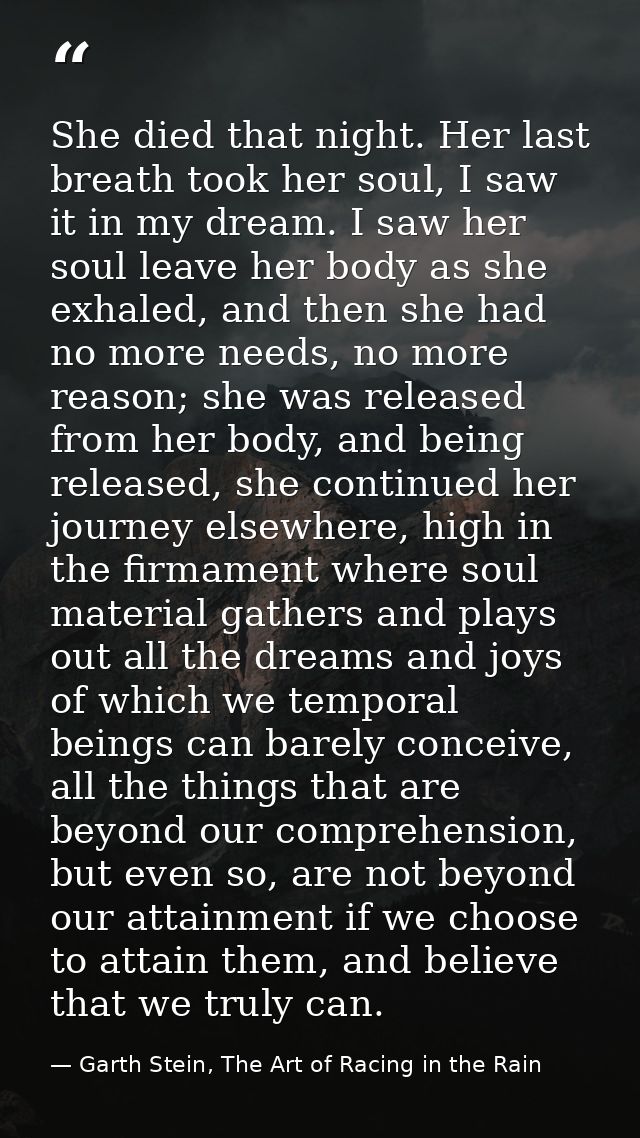 She died that night. Her last breath took her soul, I saw it in my dream. I saw her soul leave her body as she exhaled,  — Garth Stein, The Art of Racing in the Rain